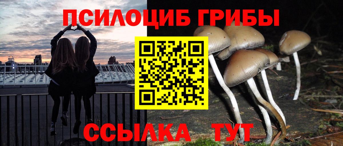 наркотики  Галлюциногенные грибы Psilocybe  Псилоцибиновые грибы ЛСД  Вход с VPN  Чита 